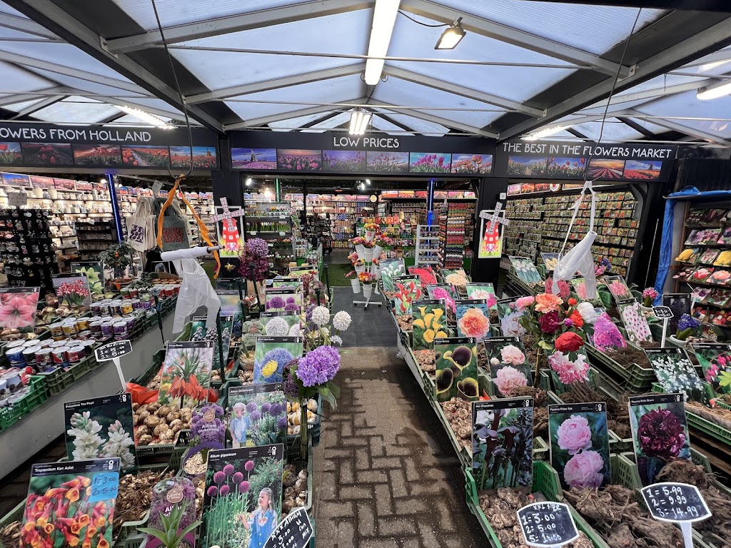 Flowers from holland Flowers from holland