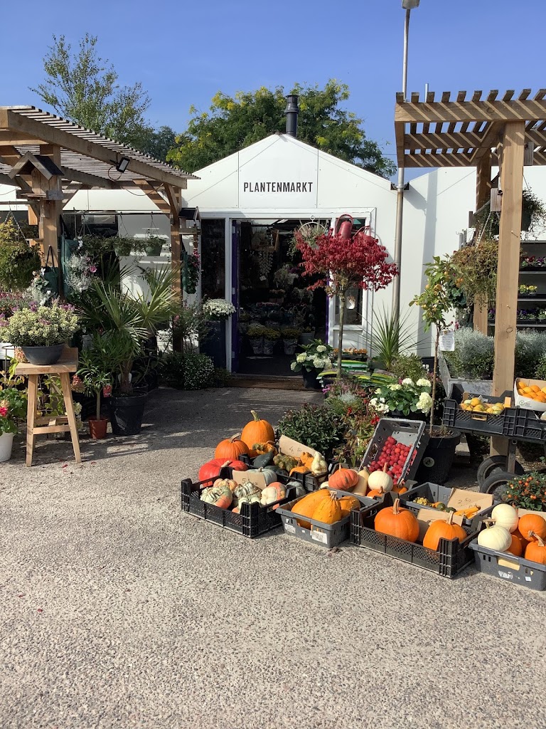 Plantenmarkt Emmeloord Plantenmarkt Emmeloord