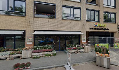 PLUS Pleijhuis Tubbergen