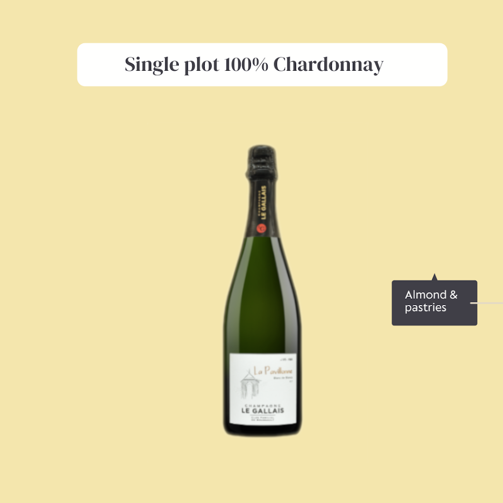 The Champagne Fox