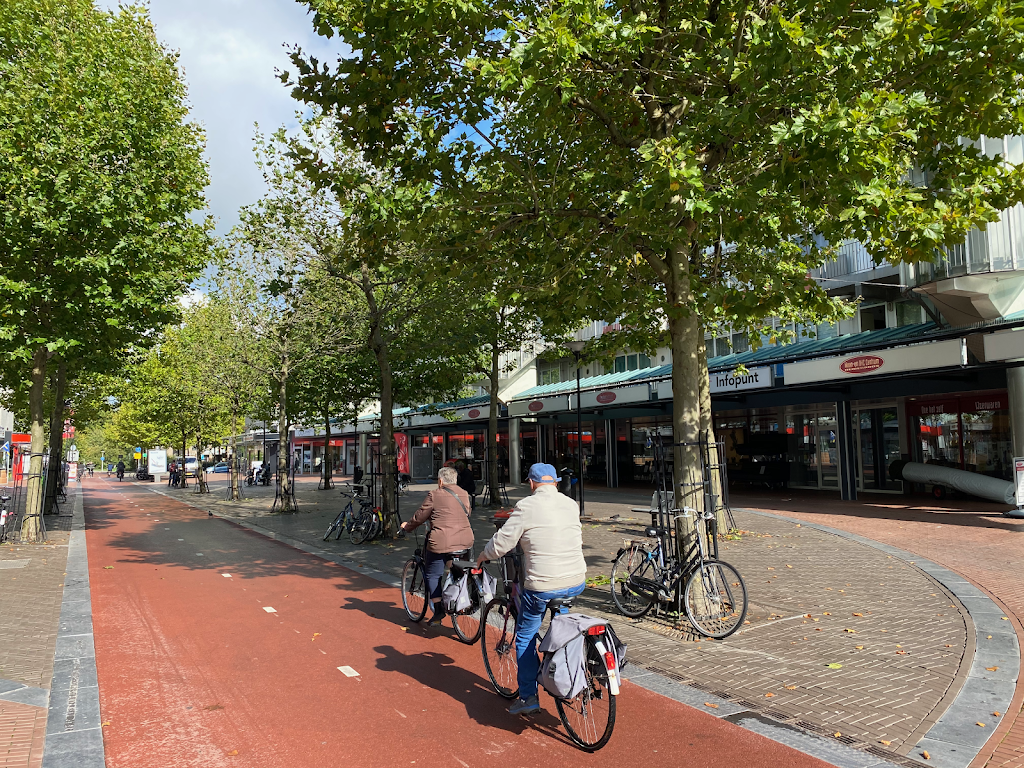 Winkelcentrum Reigersbos
